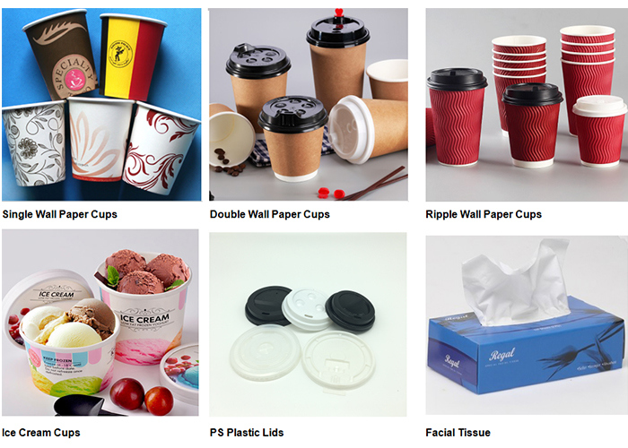 Custom Printing Logo Disposable Double Wall Corrugated Paper Coffee Cup with Plastic Lids for Drink