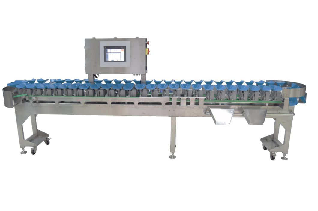 Online Automatic Weight Sorting Machine/Automatic Conveyor Weight Checker for Sea Food&Fruit