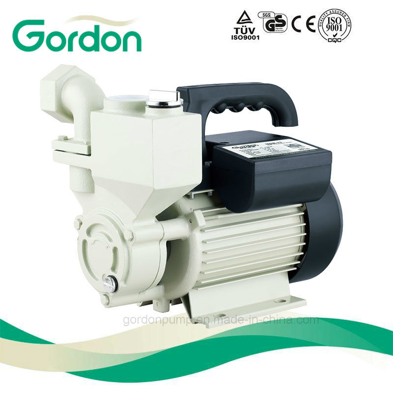 Wzb Series Single Phase Self Priming Vortex Household Water Pump