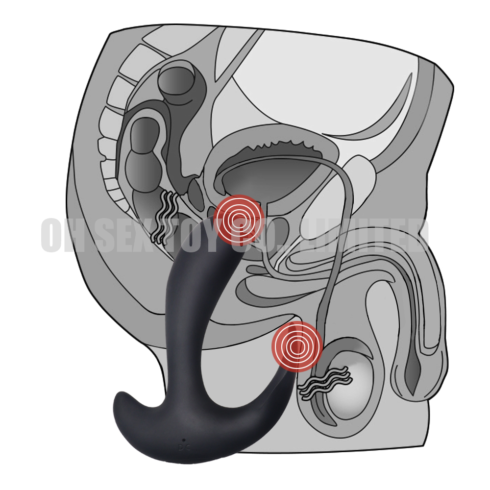 USB Rechargeable Prostate Massager Sex Toy for Men