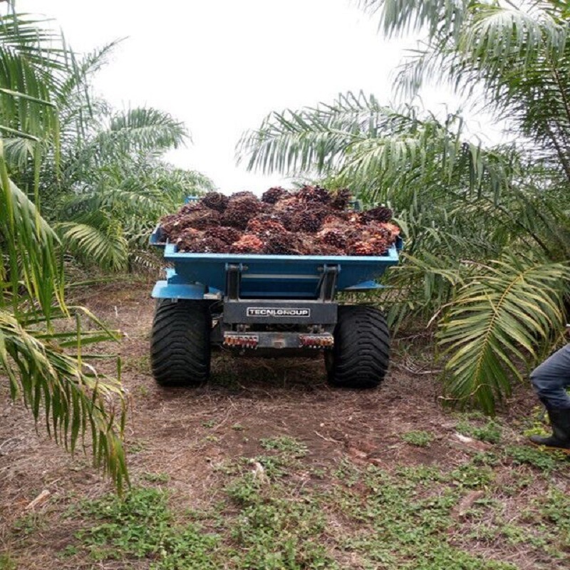 China Made 18HP Farm Walking Tractor Diesel Power Tiller