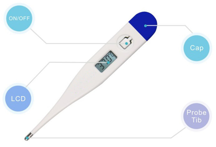 Digital Thermometer Baby Thermometer