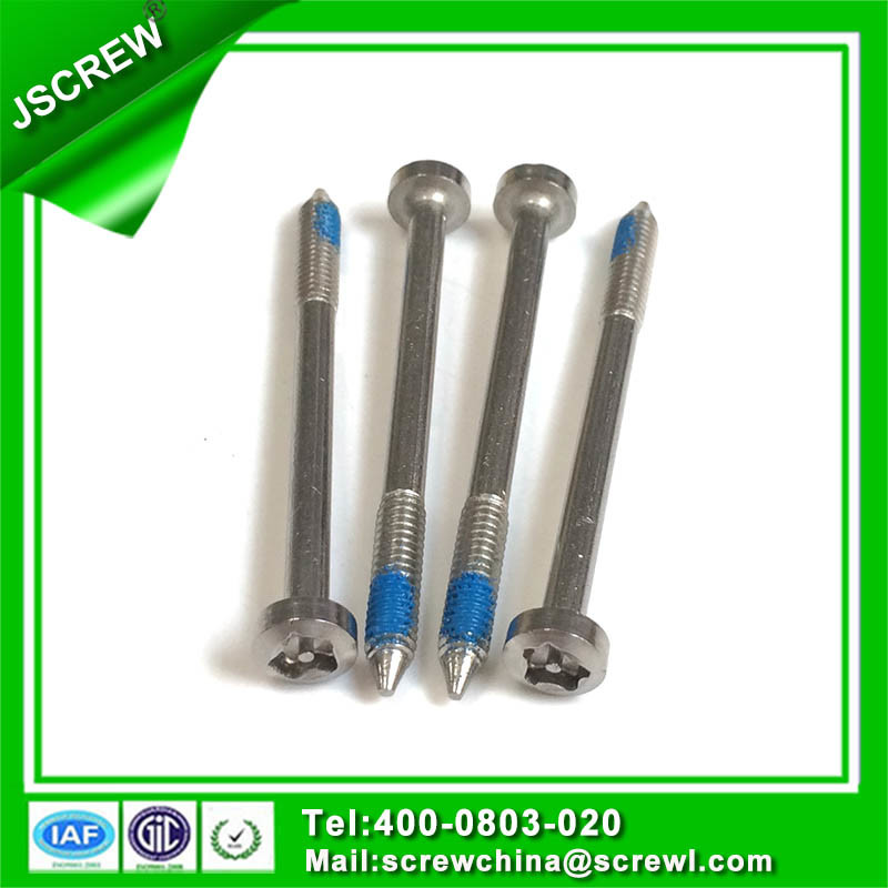 Stainless Steel Security Self Tapping Screw