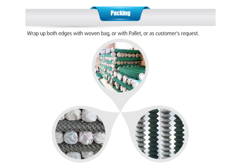 Hot Dipped Galvanized Knitted Temporary Chain Link Fence