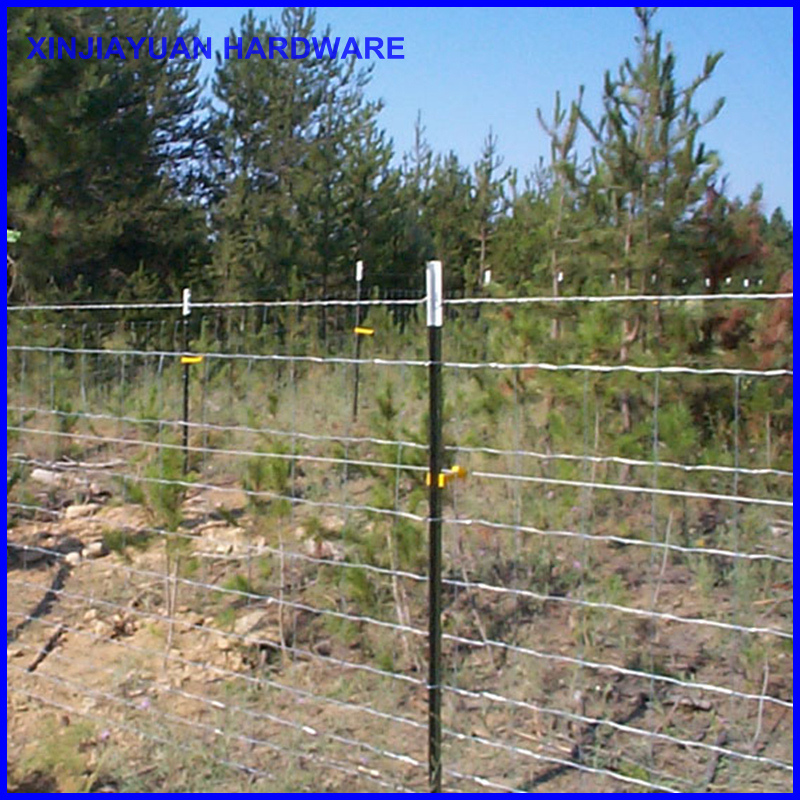 High Quality Metal Studded T Fence Post for Sale