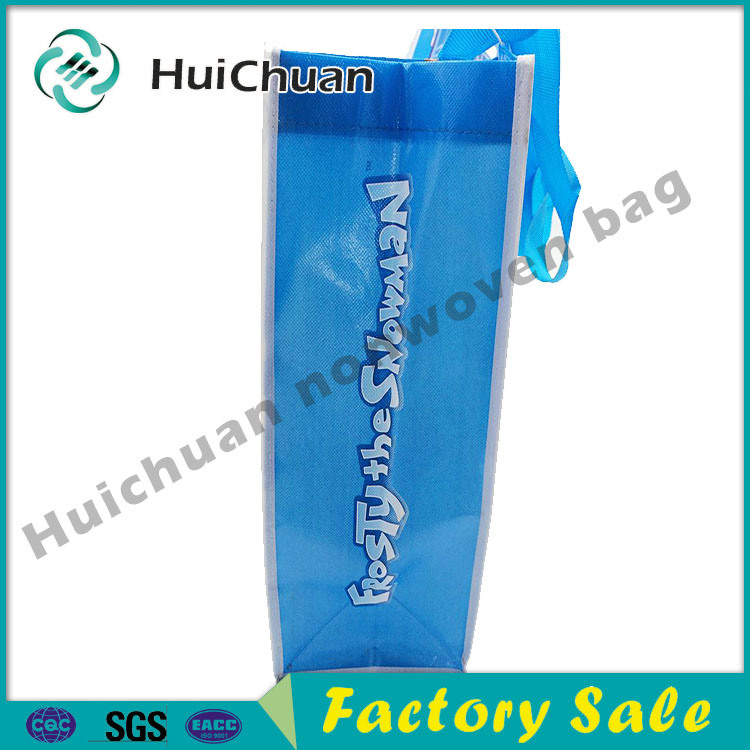 Promotional Custom Logo Printed Non Woven Carry Bag for Gift