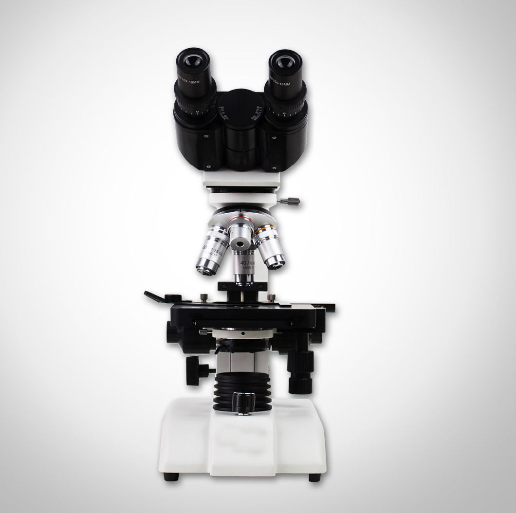 Msl-52 Economical 40X-1600X Binocular Biological Microscope for Laboratory