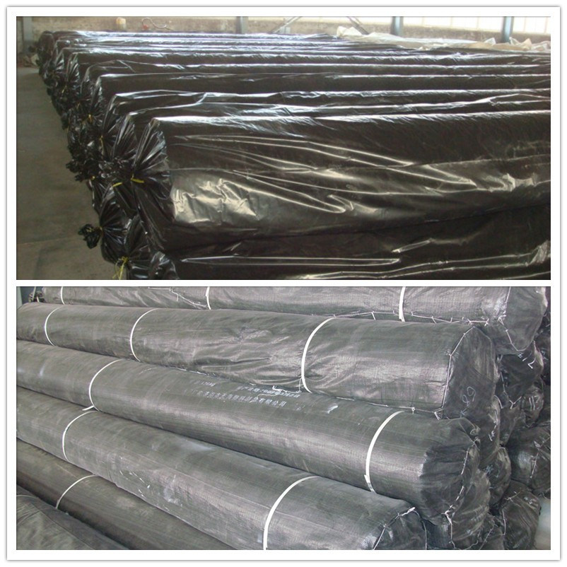 100%Virgin HDPE Geomembrane 1mm 0.75mm Pond Liner HDPE