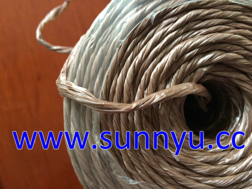 Polypropylene Twine, PP Twine, PP Pakcing Twine/Cord, PP String, Garden Twine