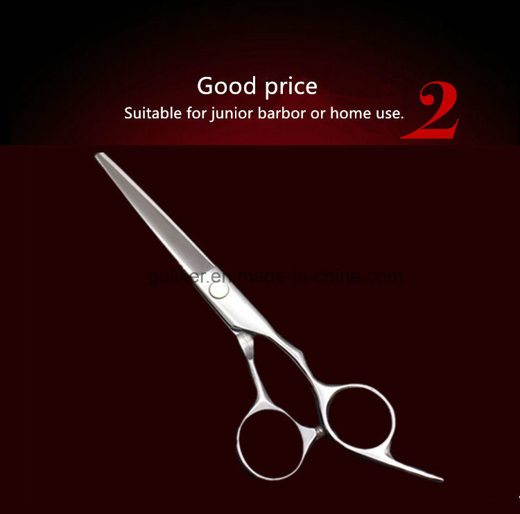 Hot Sale Professional Hair Cutting Scissors