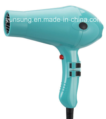 Professional Hair Blower Hair Dryer with Hot and Cold Air (YS-6659)