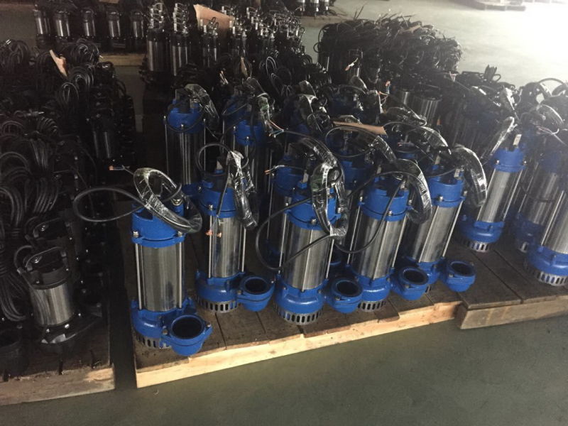 Cast Iron Stainless Steel Submersible Sewage Water Pumps V2200f (WQ30-11-2.2)
