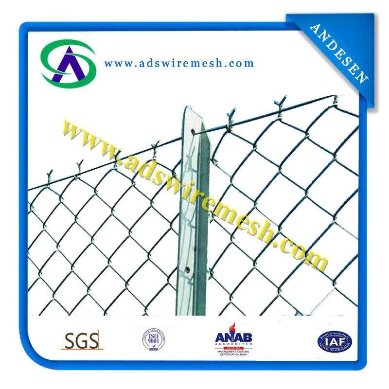 Chain Link Fence (PVC&Galvanized)