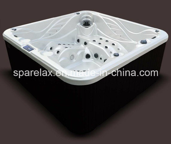 Best-Selling Lucite Acrylic with Stainless Steel Frame Hot Tub (S520)
