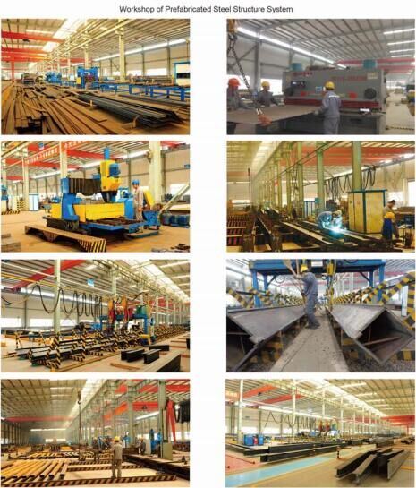 Wide Span Light Frame Steel Structure for Sale