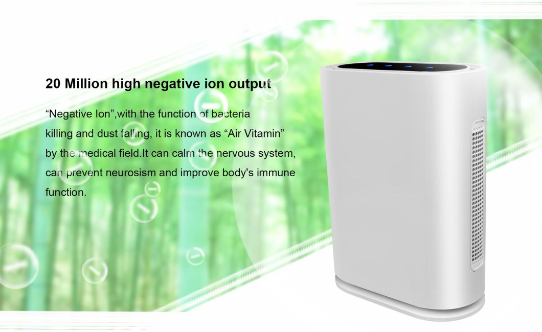 WiFi Ionizer Air Cleaner True HEPA Filter with Indicator