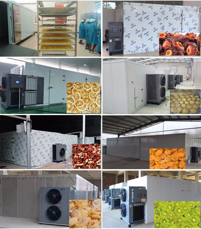 Low Consumption Electricity Industrial Fruit Drier Machine