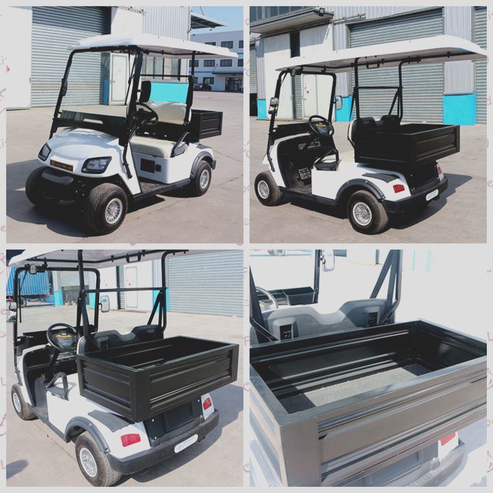 Zhongyi Mini 2 Seater Electric Golf Cart with Rear Bucket