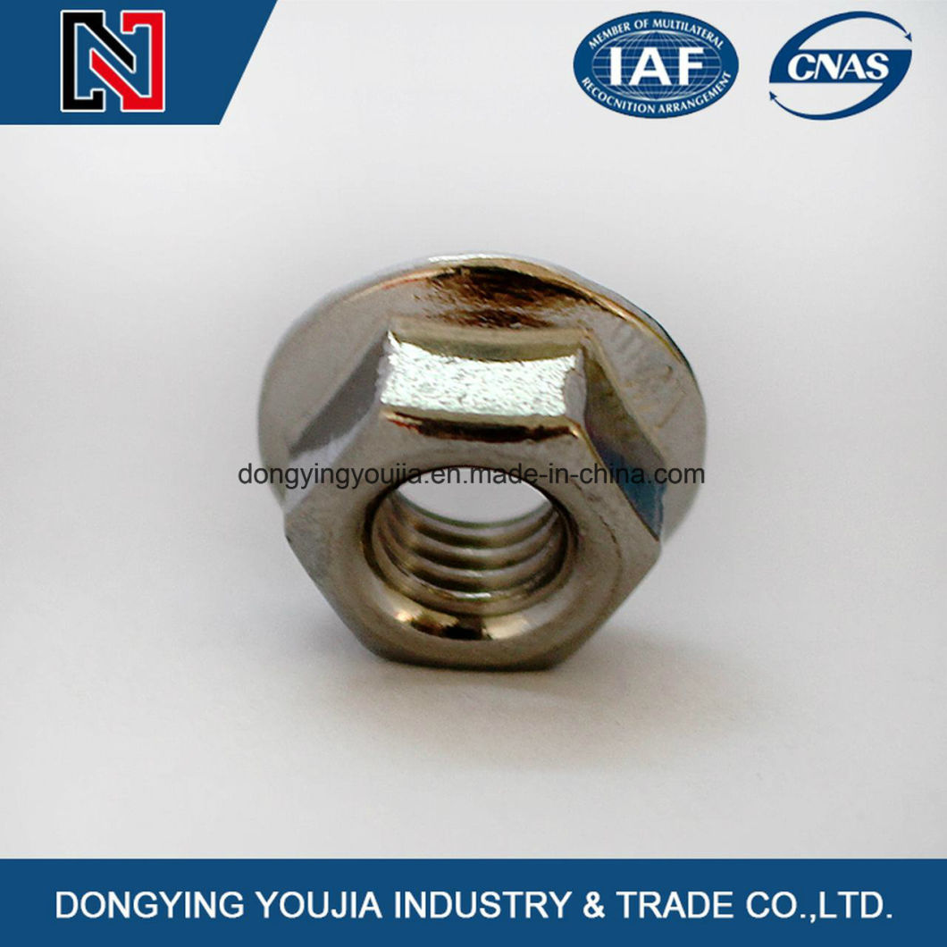 Stainless Steel DIN6923 Hexagon Nut with Flange