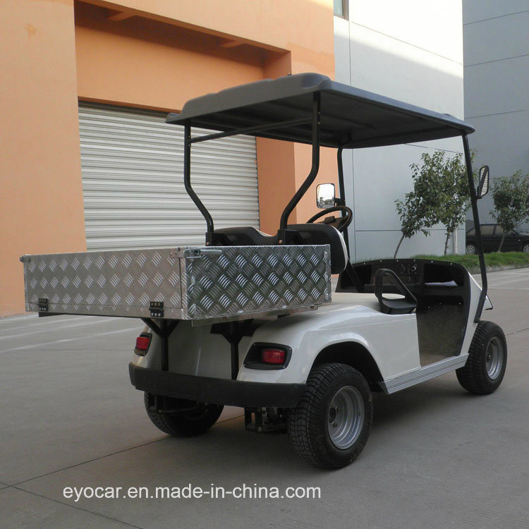 2 Seater Electric Golf Cart with Rear Bucket