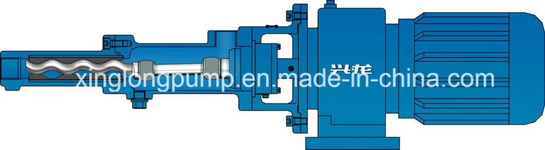 Standard Single Screw Pumps Similar Seepex Mono Netzsch Screw Pump, Belong G Series Type Stainless Steel Screw Pump