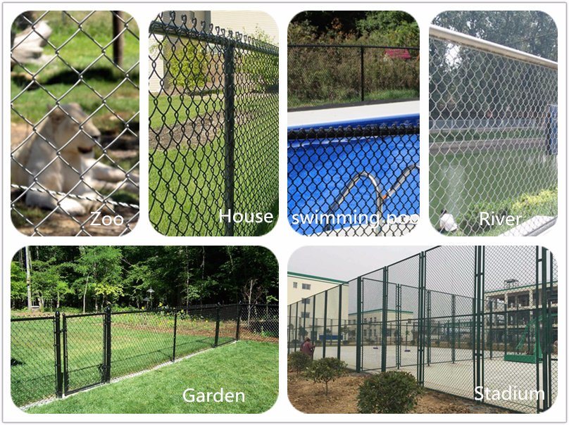 China Wholesale Metal Steel Wire Mesh Fence (WWMF)