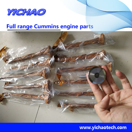 Cummins Oil Filter / Oil Pan Gasket Dipstick Engine Spare Parts (QSL8.9-C260/6BT5.9-M120)