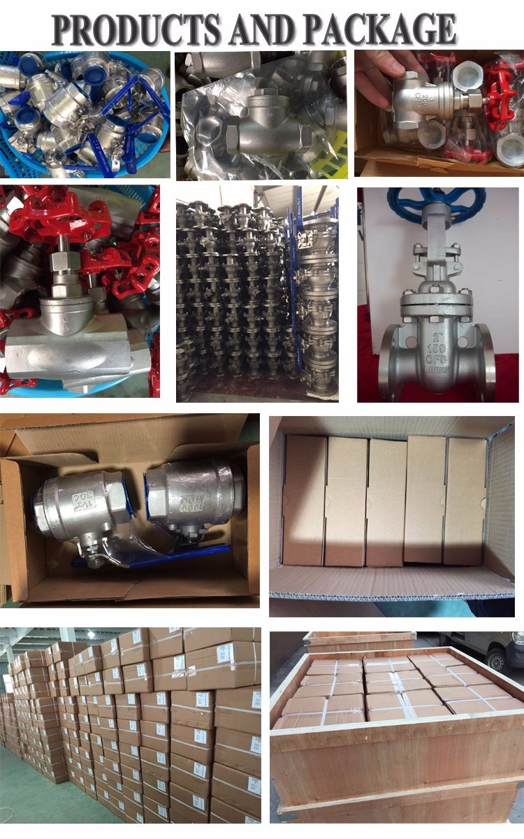 China Factory 1PC Stainless Steel Butterfly Handle Ball Valve
