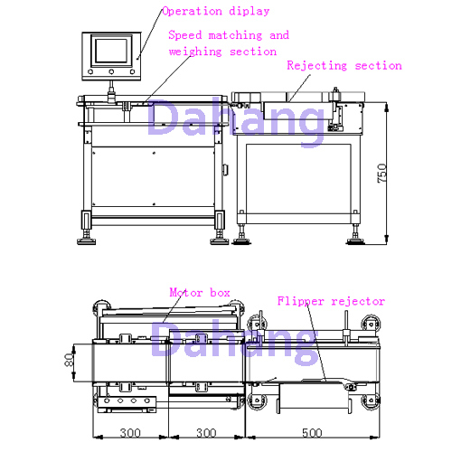 High Accuracy 10-3000g 30-160bpm Box Bag Automatic Weighing System