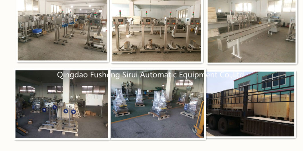 Food Processing Metal Detector Manufacturer (FS-JA3510)