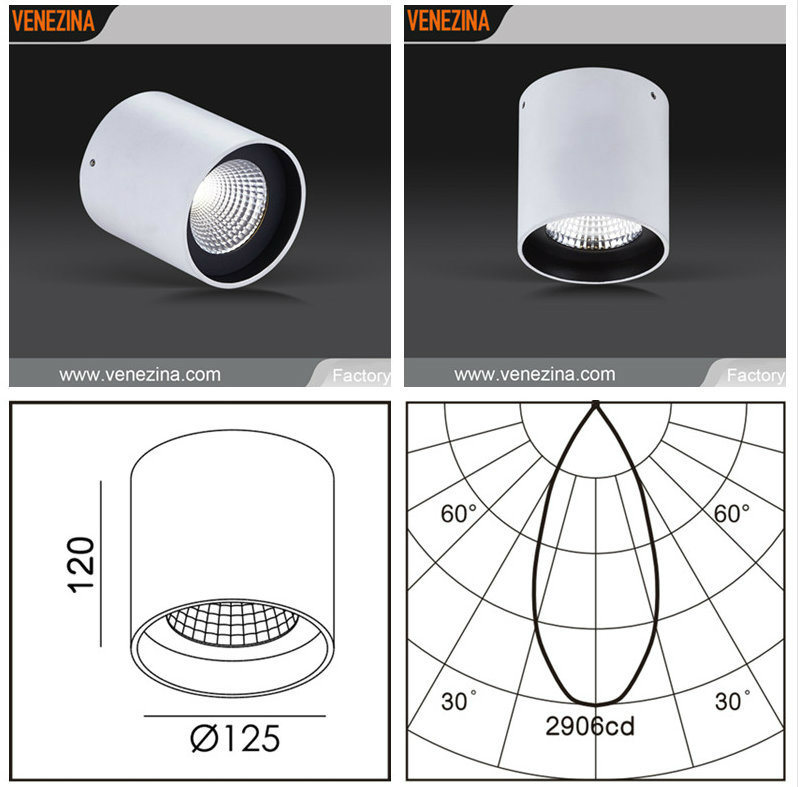 Ceiling Mounted High Efficiency LED Down Light-C6045