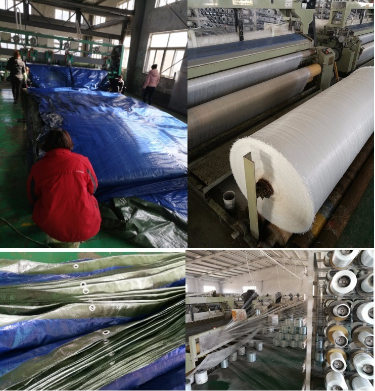 50GSM-300GSM UV Treated PE Tarpaulin for Truck Cover