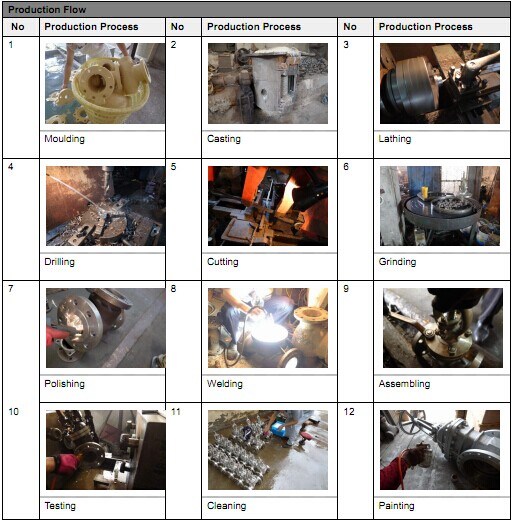 ANSI Carbon Steel Wcb Flange Y Strainers