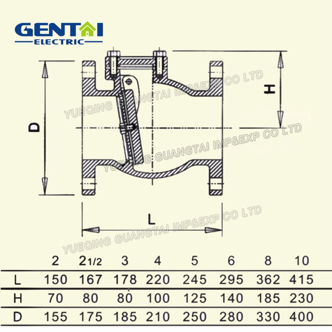 Swing Type Dise Cast Iron Check Valve 2