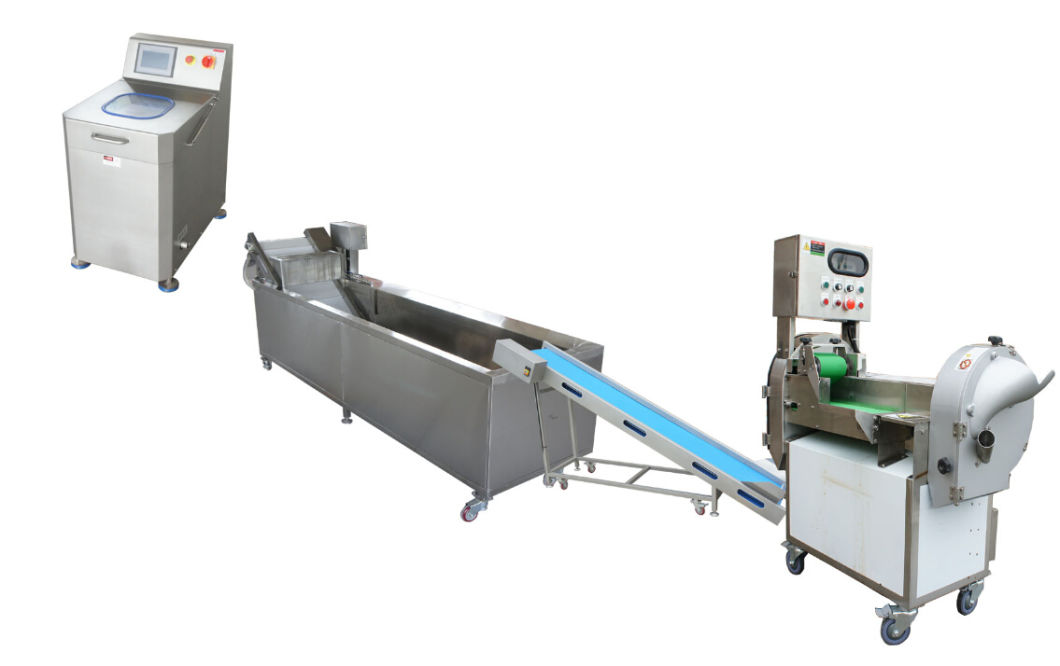 Vegetable Washing Cleaning Processing Machine