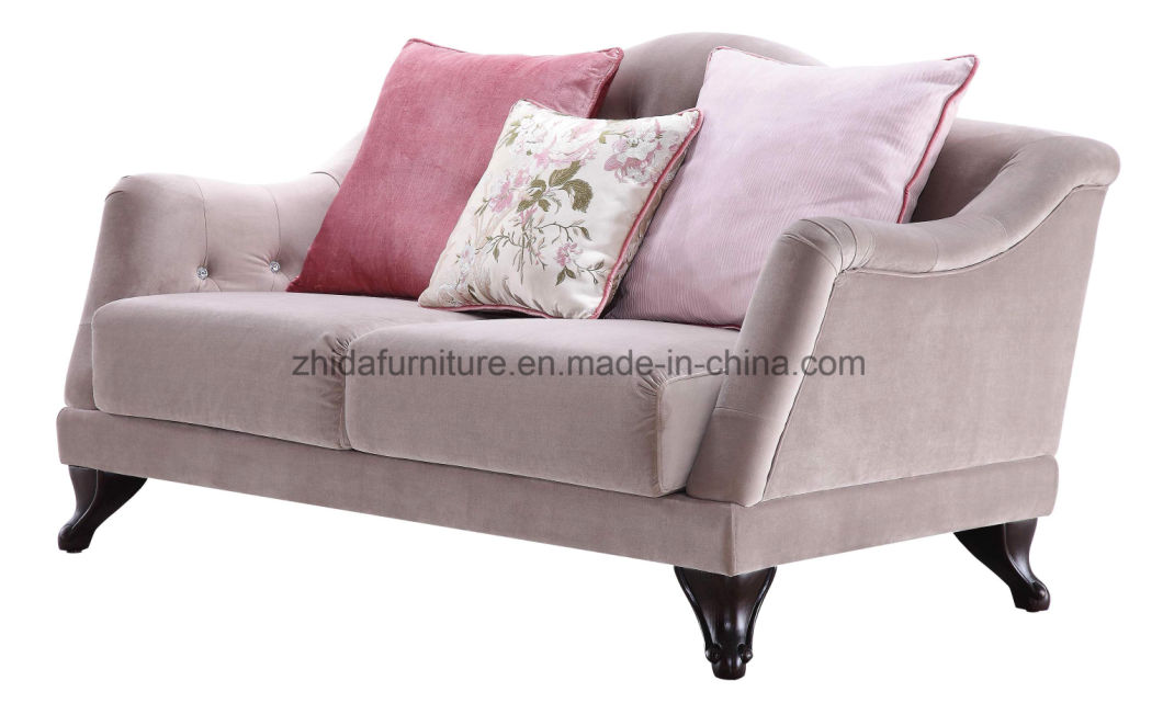 Hot Selling Nice Design Home Sofa