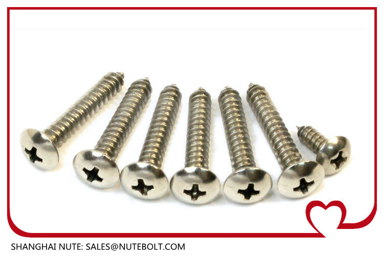 Stainless steel pan head Self Tapping screw