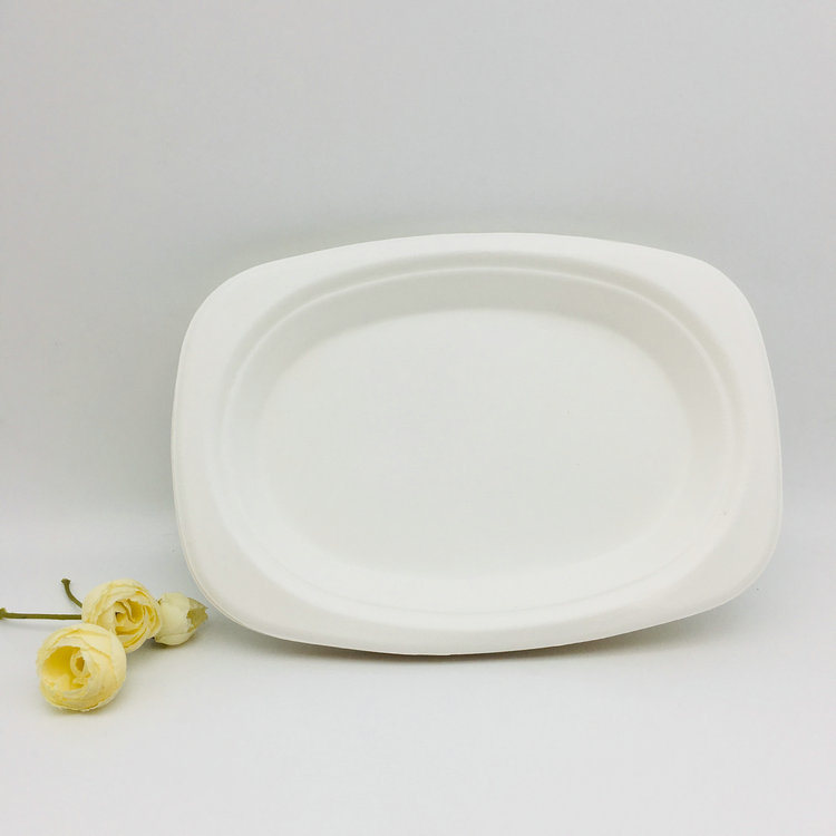 Compostable Disposable Biodegradable Paper Plate for Wedding