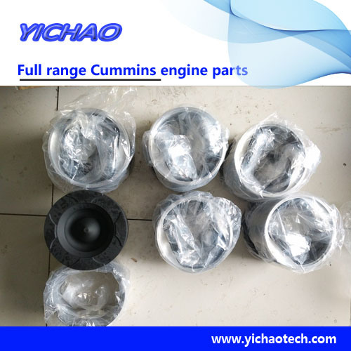 Cummins Air Filter Oil Gauge Tube Engine Spare Parts (QSL8.9-C260/6BT5.9-M120)