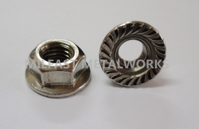 Hex Flange Nuts (DIN 6923)