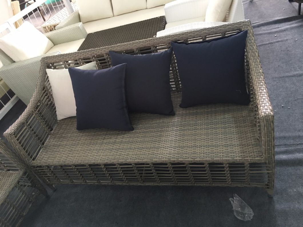 Modern Outdoor Rattan/Wicker Sofa Leisure Garden Furniture (TG-6009)