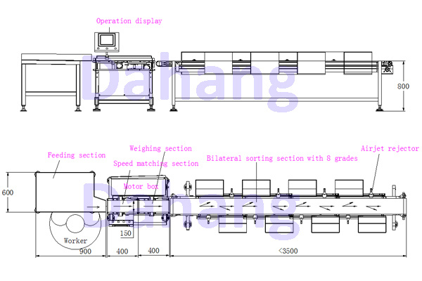 Seafood / Frozen Fish Weight Sorter