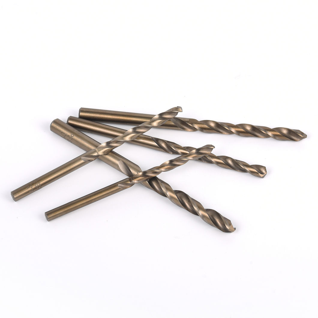 Drill Bit St HSS Straight Shank Tin-Coated Twist Drill Bit Kit 19PCS Set (GMD-003)