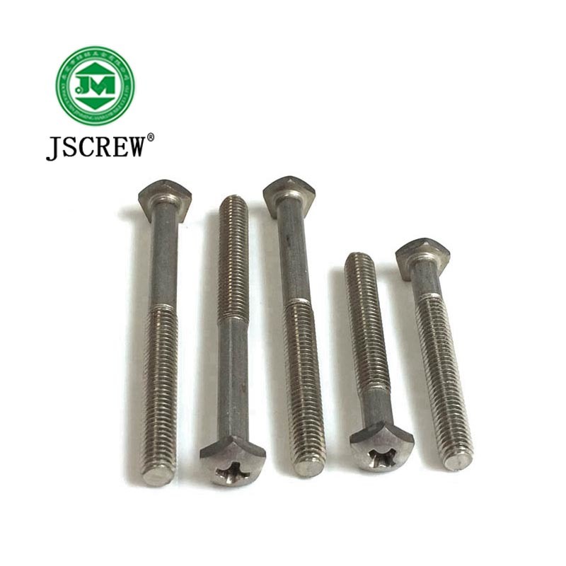China Supply Star Special Head M5 Stainless Steel Machine Screw