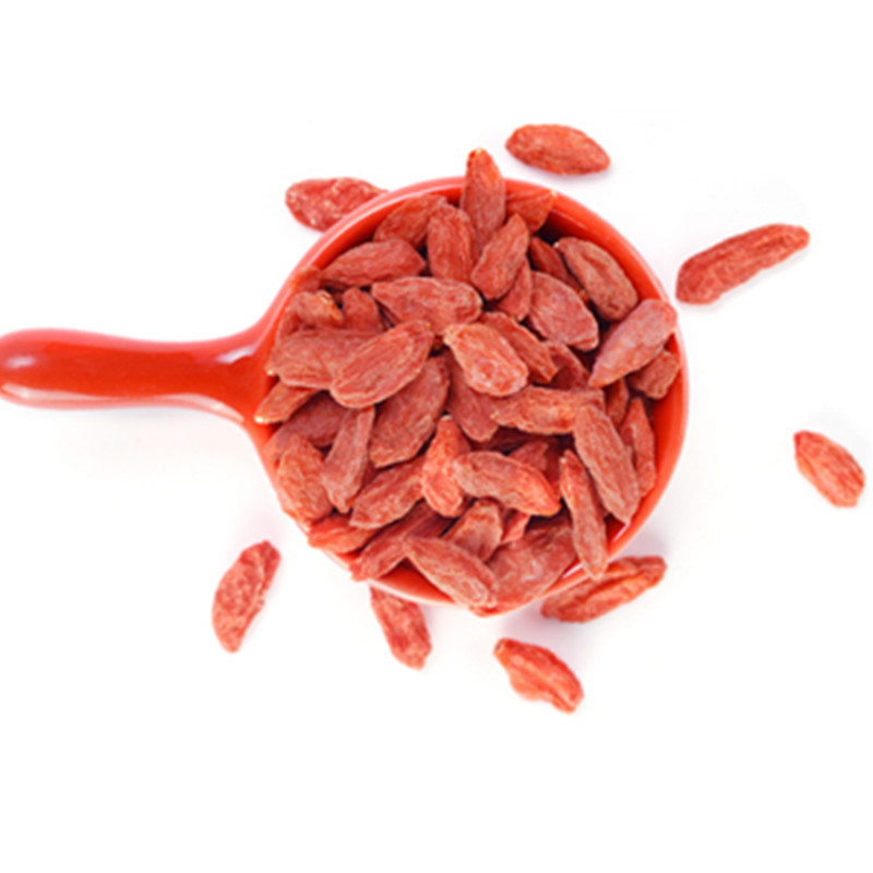 Chinese Popular Ningxia Goji Berry Low Pesticide