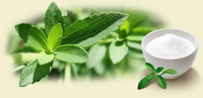 Organic Natural Sweetener Plant Stevia Extract