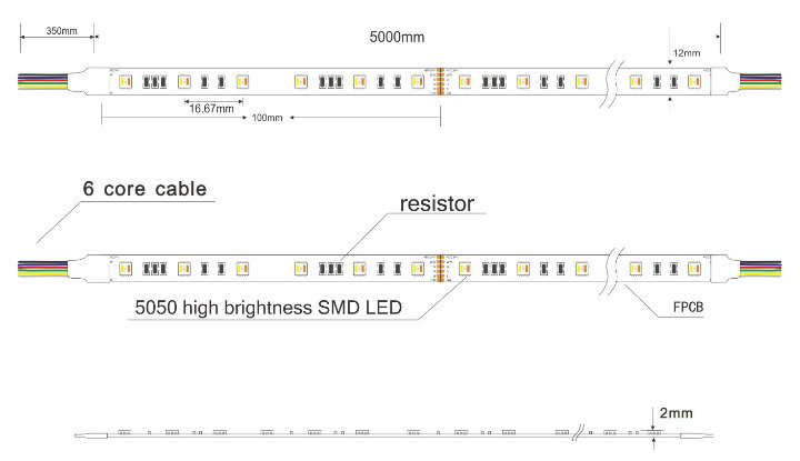 EXW Manufacturer 3528 2835 5050SMD Flexible LED Strip Rgbww 8mm/10mm/12mm Optional PCB Board LED Neon Flex Strip for Outdoor LED Lighting