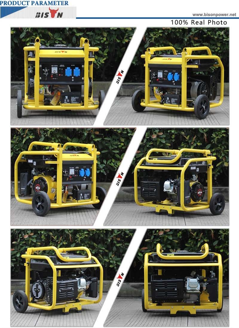 Bison (China) Generator Supplier BS2500n (H) 2kw 2kVA 2000W Battery Operated Home Usage Portable Gasoline Mini Generator 220V