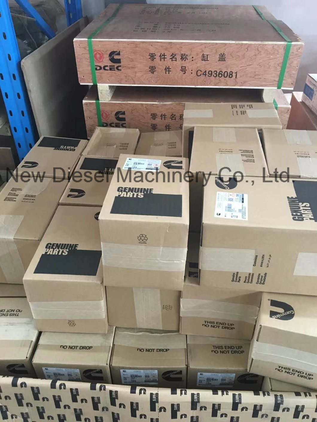 Genuine Cummins Diesel Engine Spare Parts (4BT, 6BT, 6CT, NTA855, KTA19, KTA38, KTA50)