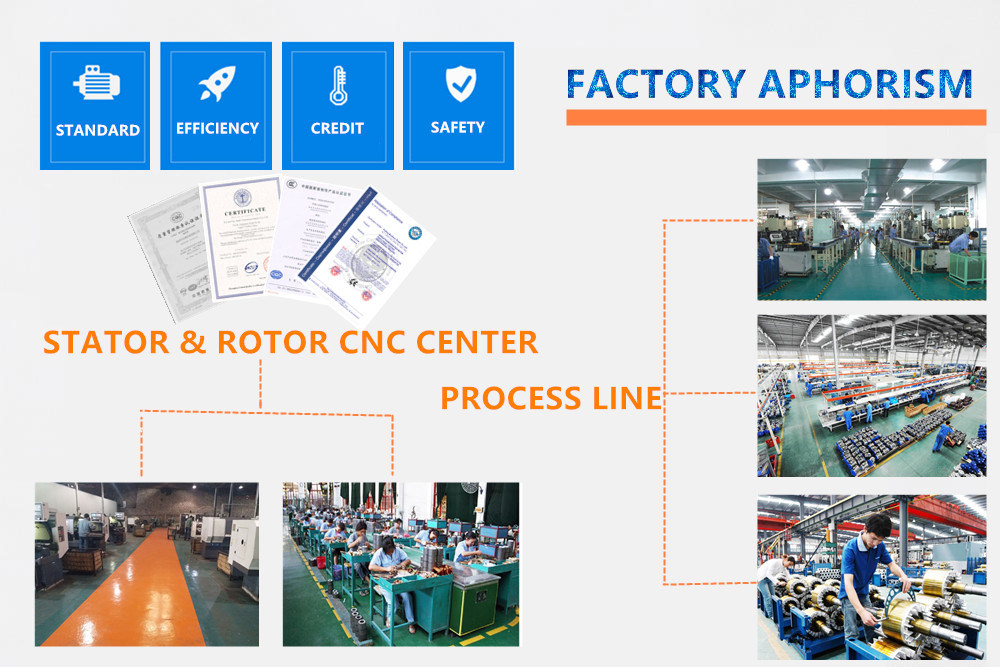 AC Single Phase Electric Motor